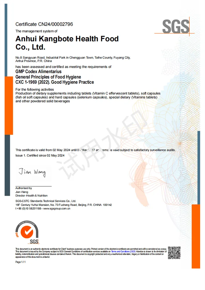 GMP Certificate（2027.05 English Version）