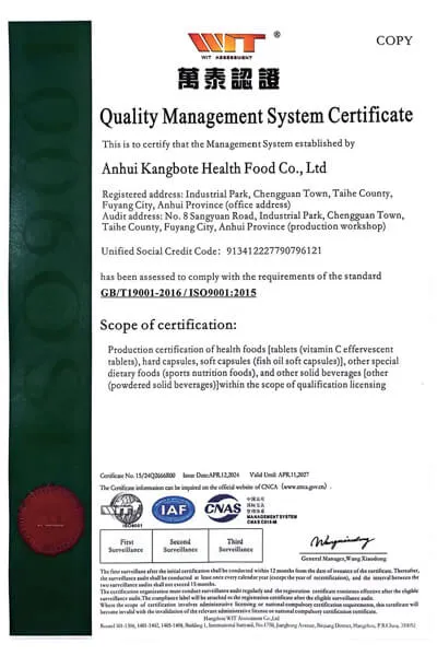 ISO9001 Certificate（2027.04 English Version）